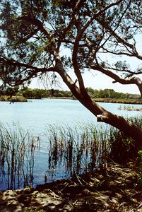 Little Tigertail Island